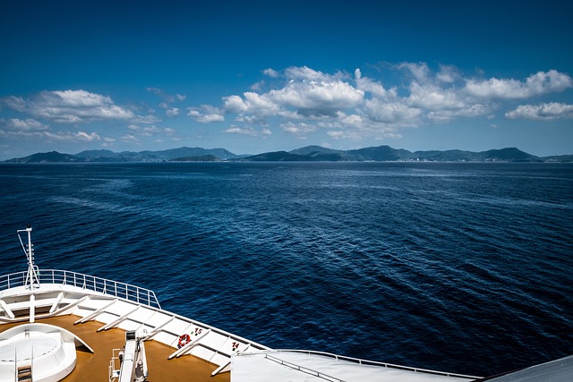 How to choose the perfect cruise ship for a family vacation